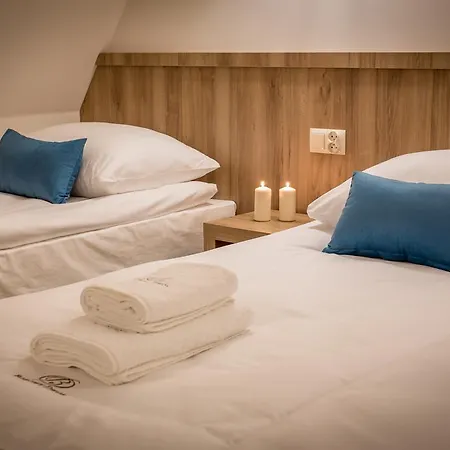 فندق مبيت وإفطار Borowy Dwor- Biznes, & Fun 3*