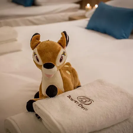Borowy Dwór- Biznes, Spa&fun *