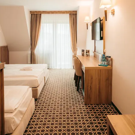 Borowy Dwor- Biznes, & Fun فندق مبيت وإفطار 3*