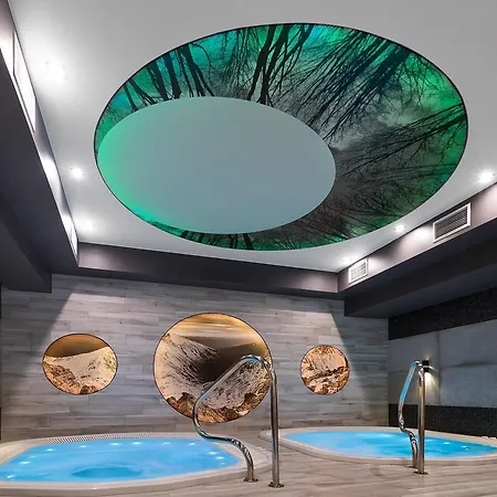 Borowy Dwór- Biznes, Spa&fun 3* Szaflary