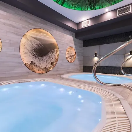 فندق مبيت وإفطار Borowy Dwor- Biznes, & Fun 3*